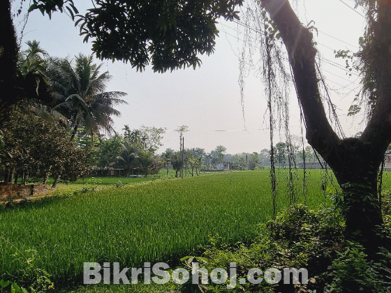 ৫৭.৭৫ শতক বাণিজ্যিক এবং আবাসিক জমি বিক্রয় হইবে।